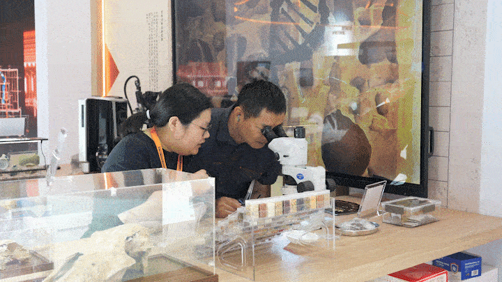 025服贸会20个“文博+科技”新解法开元棋牌试玩绿维文旅：文博人速存！2(图19)